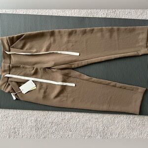 Aritzia New Allant Pant